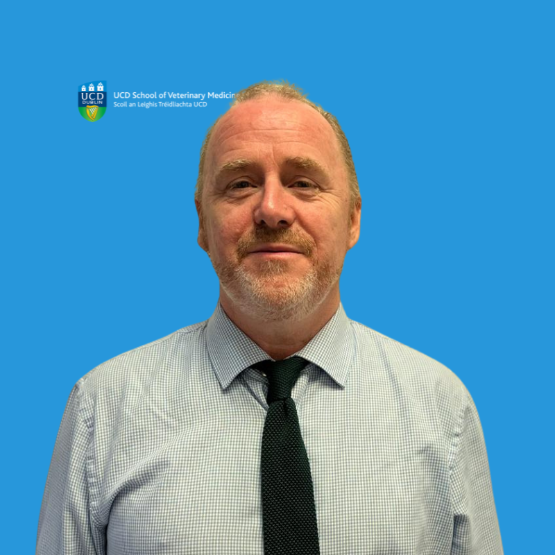 John Buckley, Director at UCD School of Veterinary Medicine, wearing a light checkered shirt and dark tie, standing against a blue background with the UCD logo.